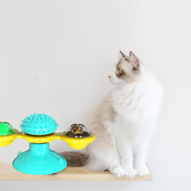 Cat interacting with a colorful cat toy on a white background