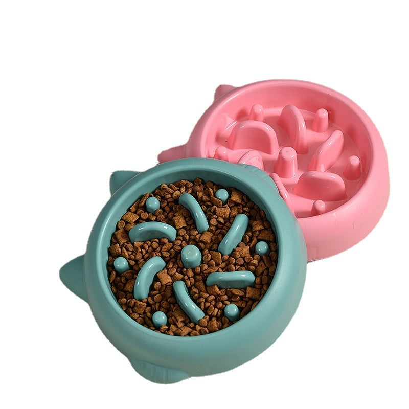 Teal and pink pet bowls with food on a white background