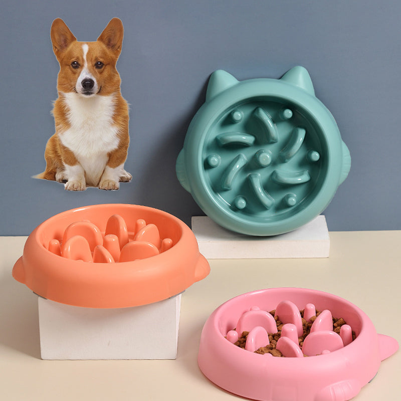 Three colorful dog bowls with a corgi in the background