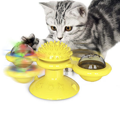 Cat playing with a yellow spinning toy