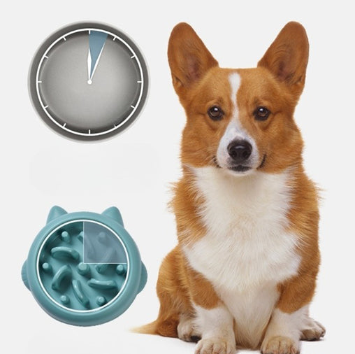Dog with a teal dog toy and a clock on a white background